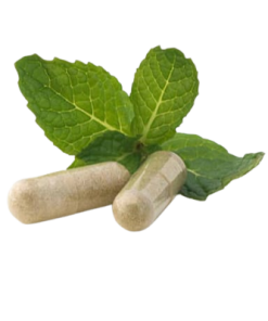Sea Moss, Burdock Root & Bladderwrack Capsules