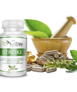 Stroke  Recovery -  100 Capsules