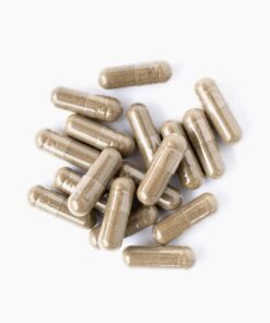 Blood Sugar Support - 100% Natural