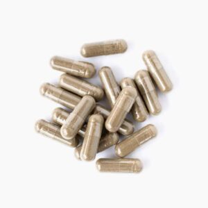 Blood Sugar Support - 100% Natural