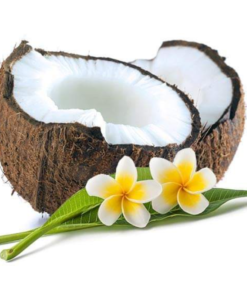 Coconut  Curls  Cream - 16oz