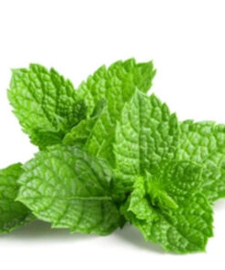 Bad  Breath  Spray - 1 oz